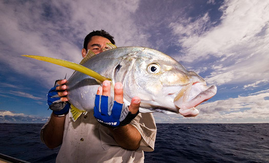 Bermuda Fishing