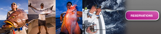 Check Out Our Great Catches While Fishing in Bermuda